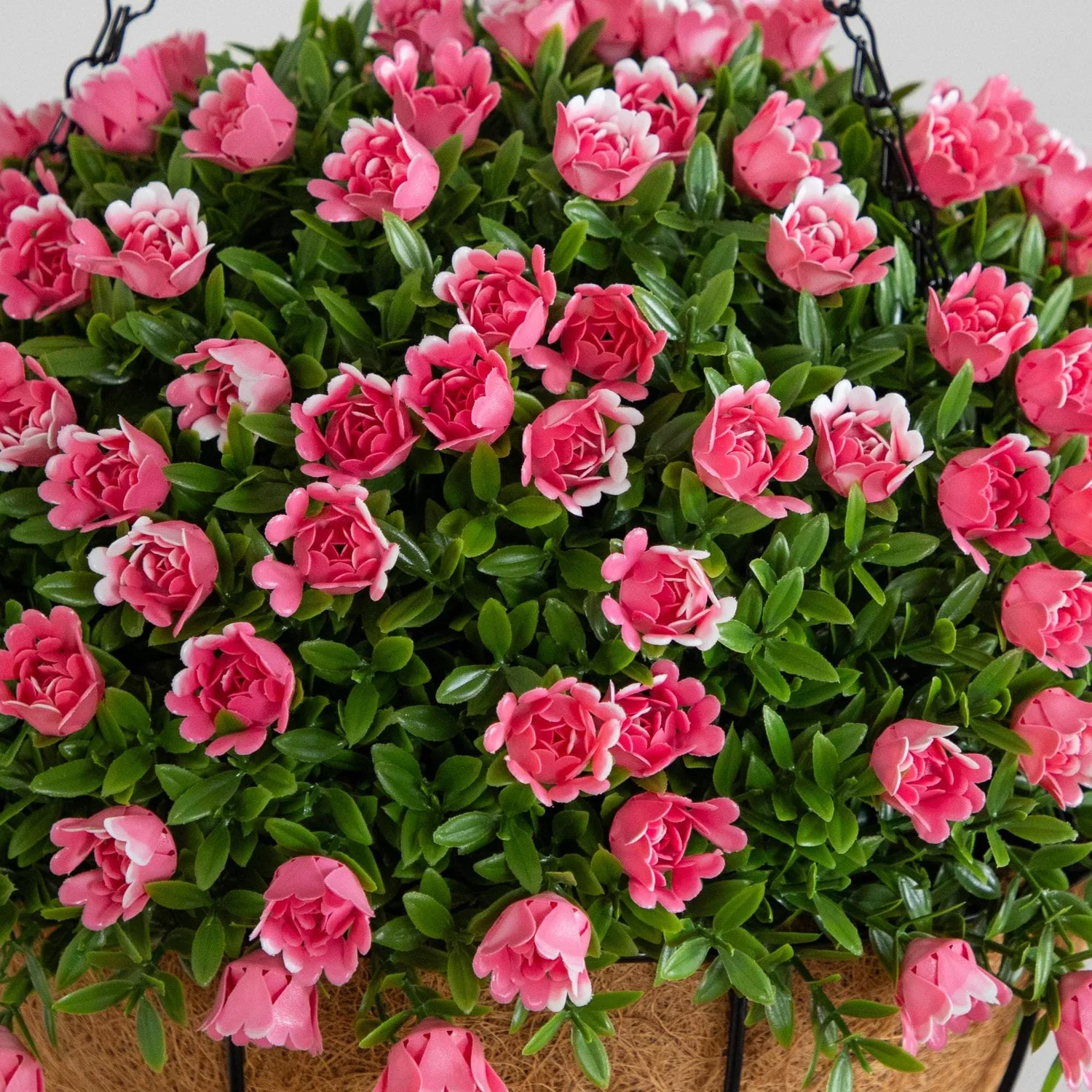 Lush flowering hanging basket close-up