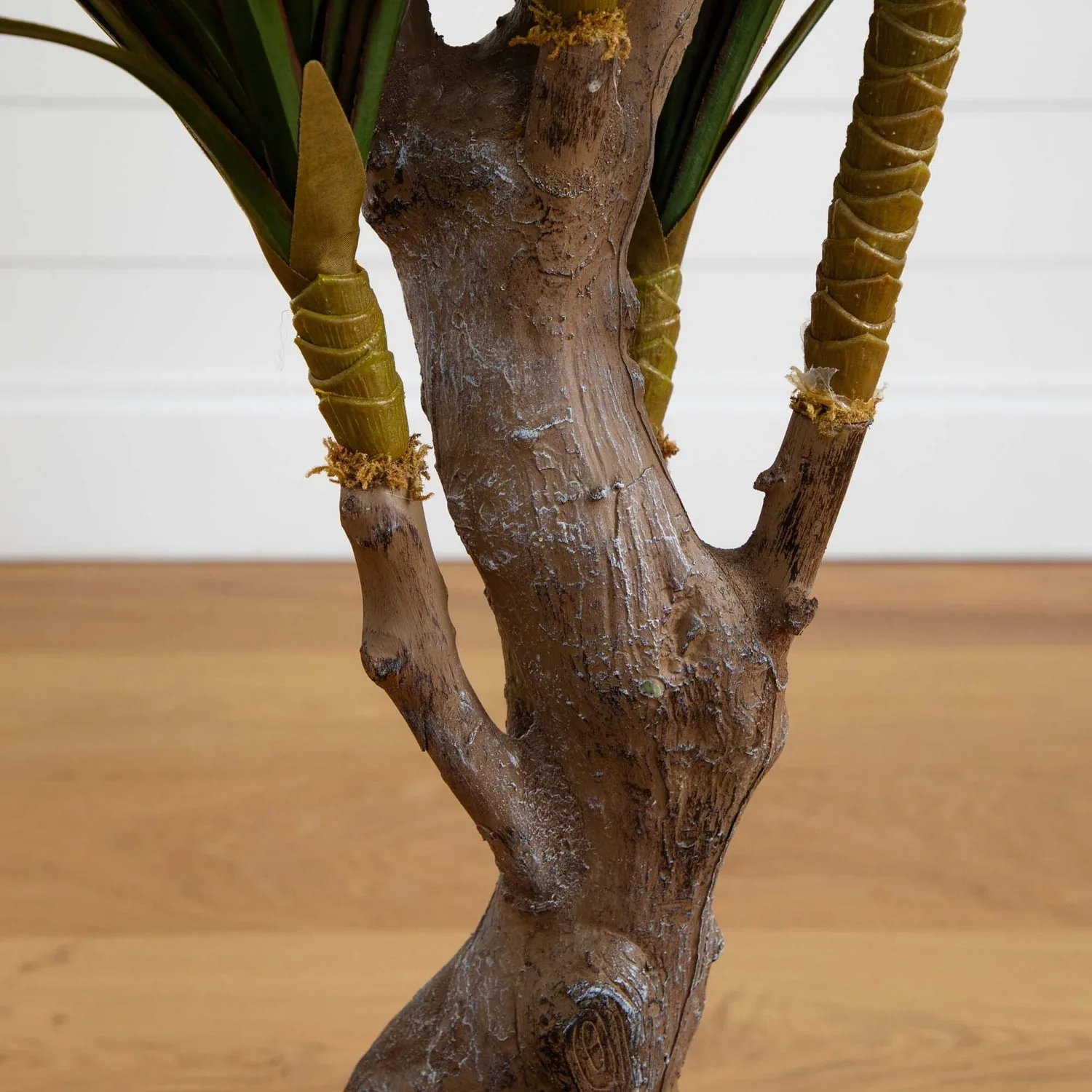 Trunk and base detail of double bamboo palm